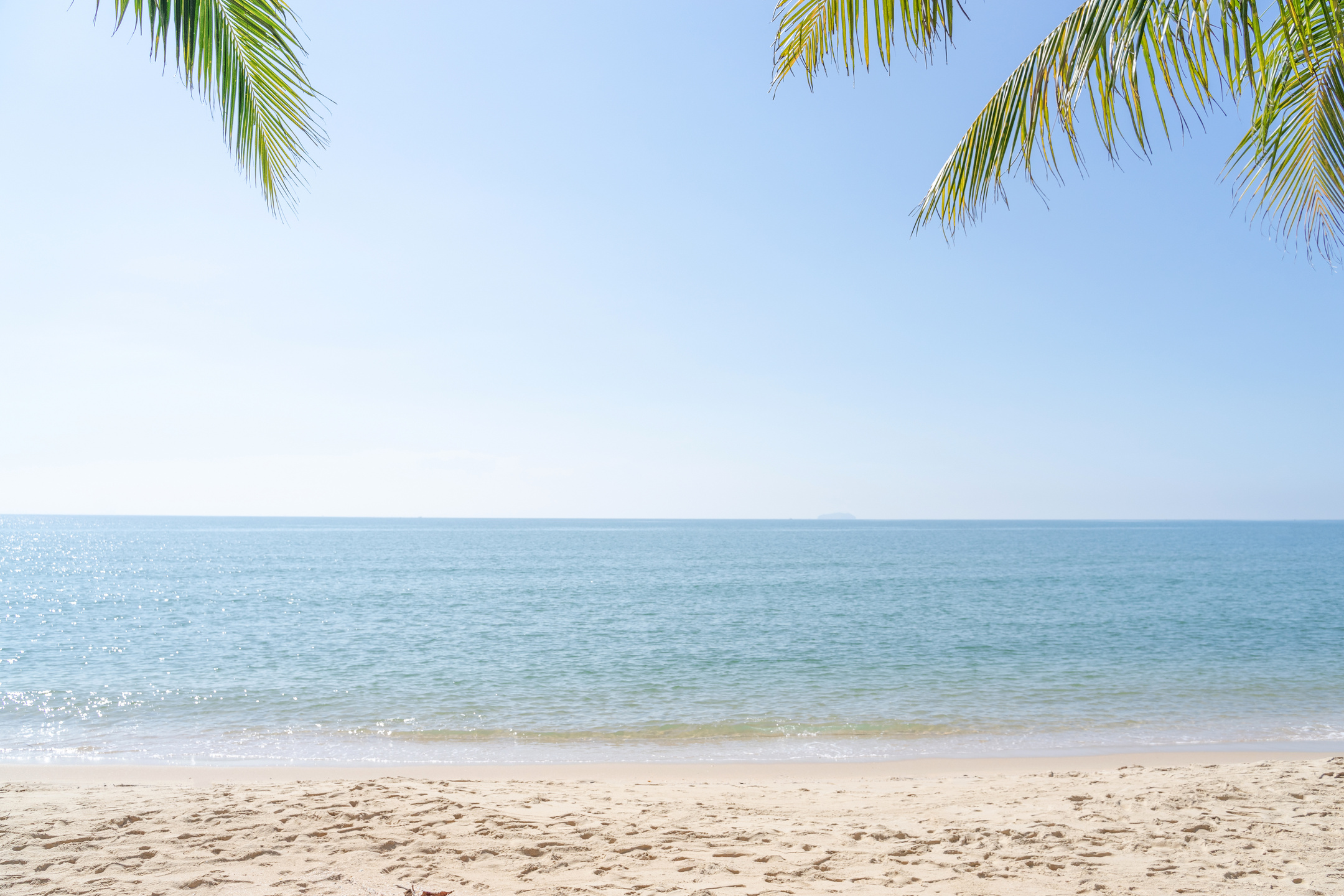 Calm Tropical Beach